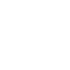 Sheild icon
